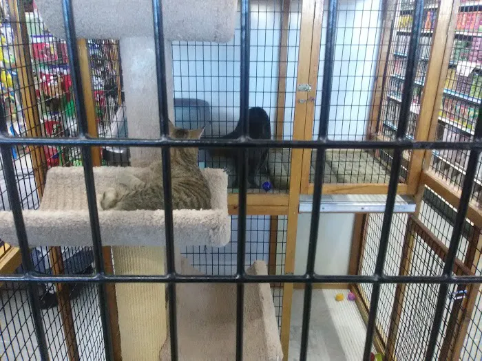 Pet World Picture 9