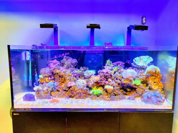 Tropic Isle Aquarium Picture 2