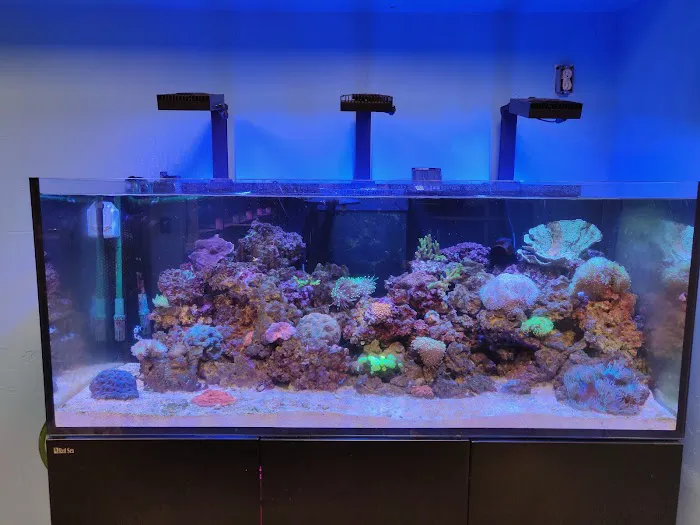 Tropic Isle Aquarium Picture 6