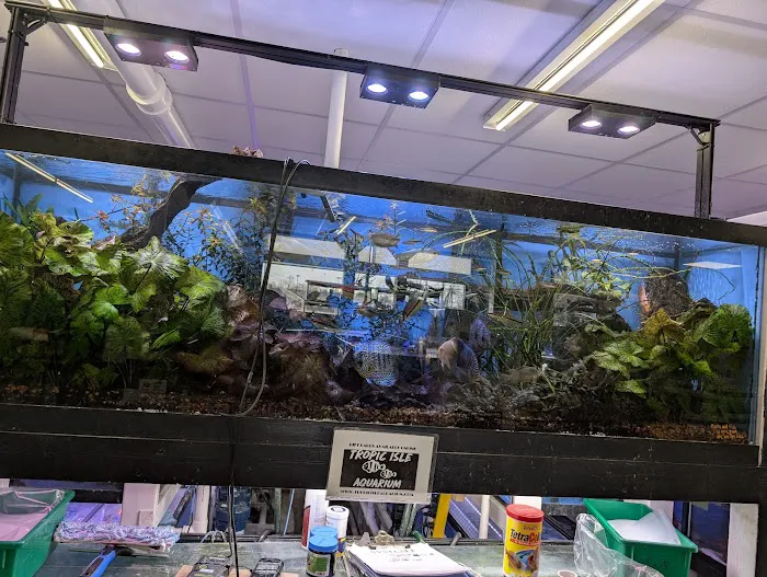 Tropic Isle Aquarium Picture 4