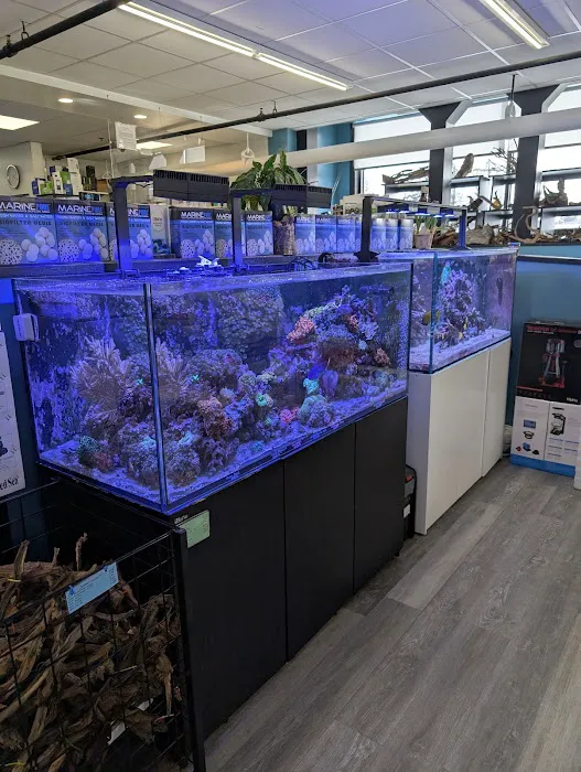Tropic Isle Aquarium Picture 7