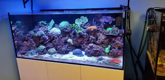 Tropic Isle Aquarium Picture 9