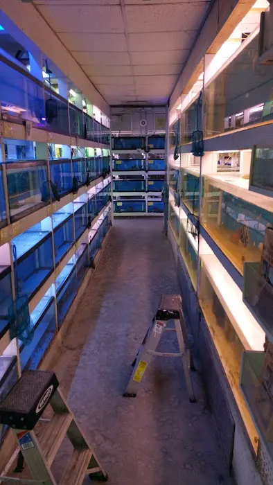 Tropic Isle Aquarium Picture 10