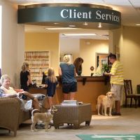 Neffsville Veterinary Clinic ico