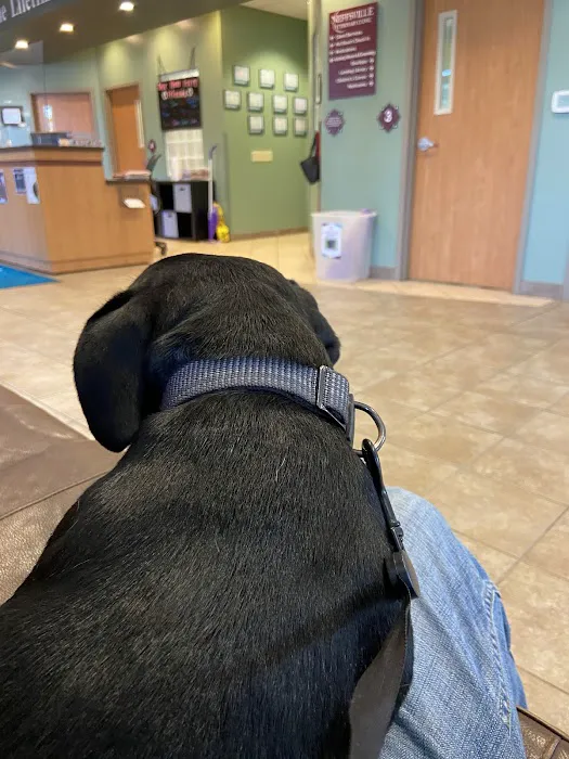 Neffsville Veterinary Clinic Picture 9