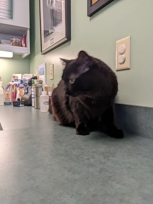 Neffsville Veterinary Clinic Picture 10