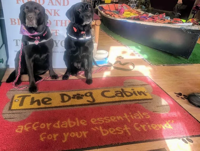 The Dog Cabin Picture 4