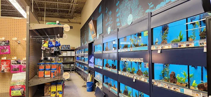 Petco Picture 7