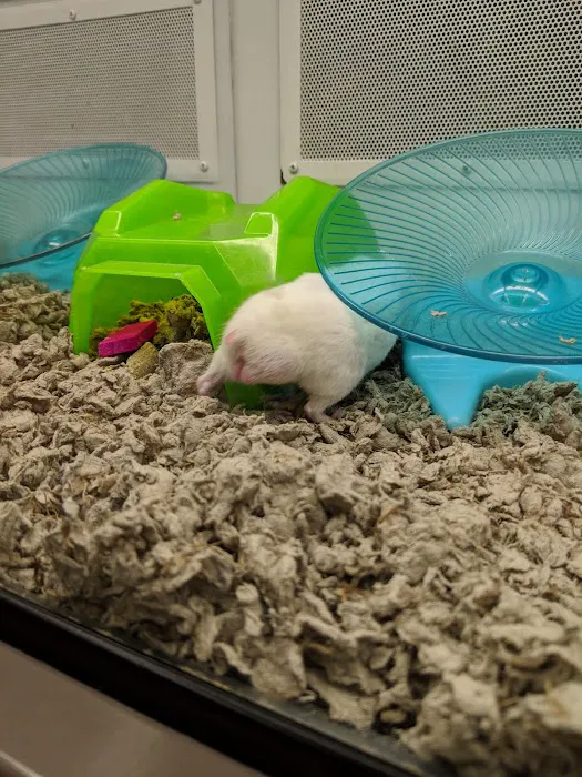 Petco Picture 6
