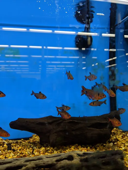 Petco Picture 9