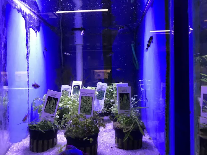 Fish Nook Pet Center Picture 4