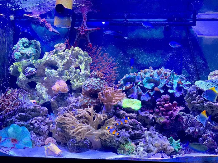 Fish Nook Pet Center Picture 9