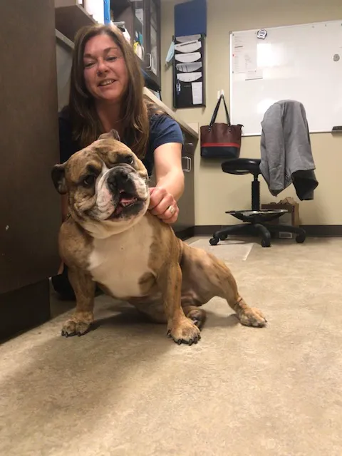 VCA Bridgeport Animal Hospital Picture 3
