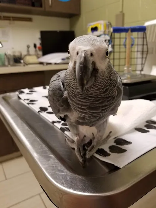 VCA Bridgeport Animal Hospital Picture 2