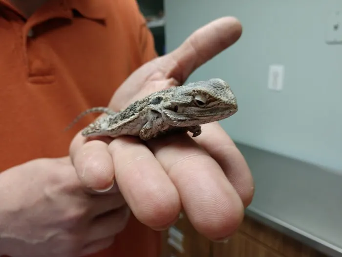 Dr. Bill Lewis Picture 3