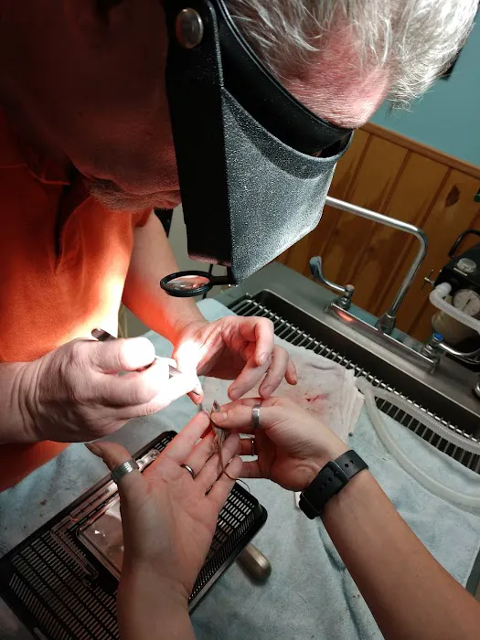 Dr. Bill Lewis Picture 5
