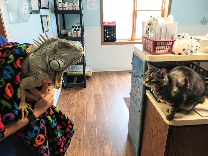 Lincoln Highway Veterinary Clinic Picture 2