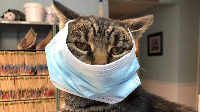Lincoln Highway Veterinary Clinic Picture 4