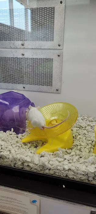 Petco Picture 5