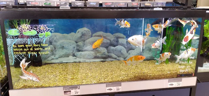 Petco Picture 7