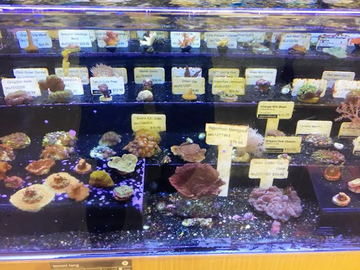 Petco Picture 6
