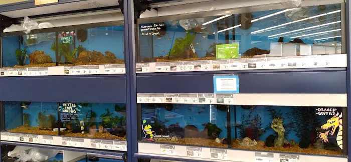 Petco Picture 10