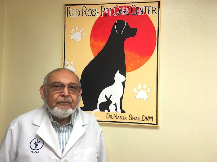 Red Rose Pet Care Center Picture 2