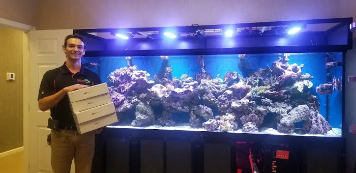 FantaSEA Aquariums | Aquarium Design, Installation, and Service Picture 2
