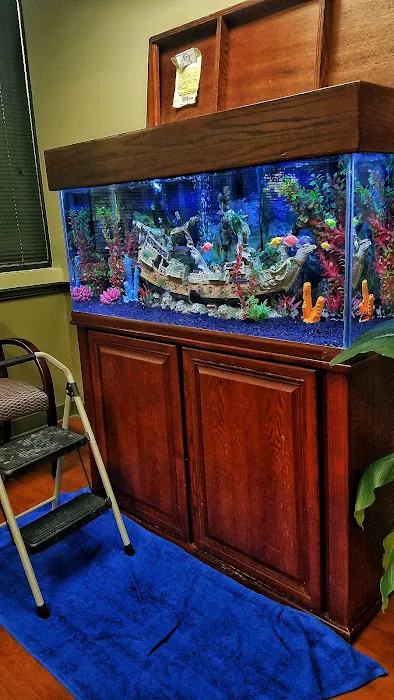 FantaSEA Aquariums | Aquarium Design, Installation, and Service Picture 9