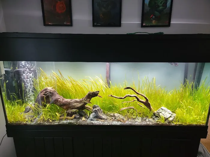 FantaSEA Aquariums | Aquarium Design, Installation, and Service Picture 6