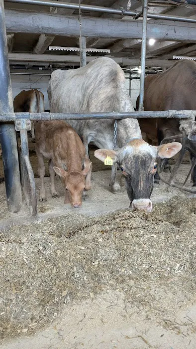 Agricultural Veterinary Associates Picture 4