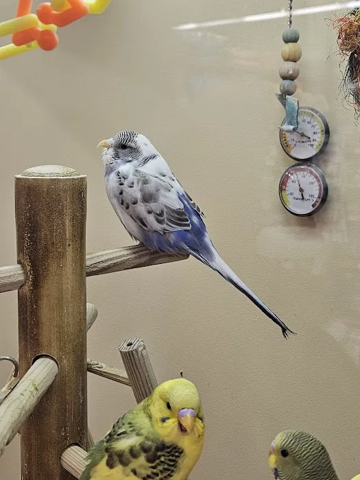 Petco Picture 6