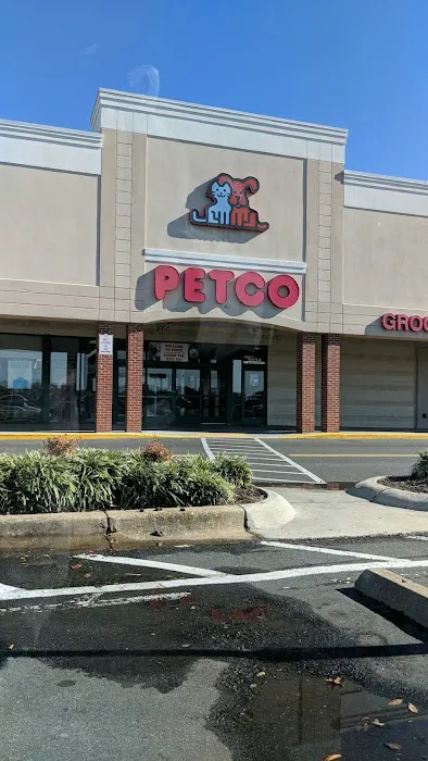 Petco Picture 5