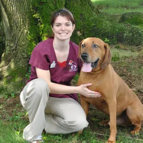 Conrad Weiser Animal Hospital Picture 4
