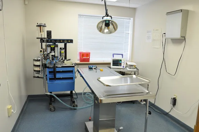 Conrad Weiser Animal Hospital Picture 6