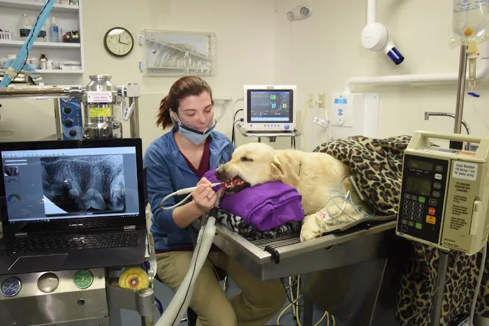 Conrad Weiser Animal Hospital Picture 10