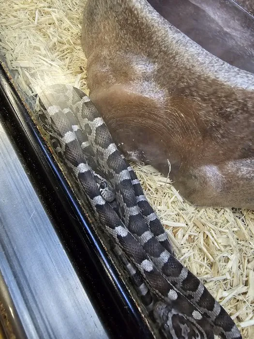 Petco Picture 6