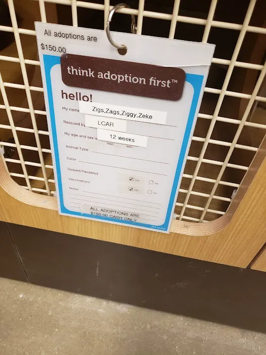 Petco Picture 9