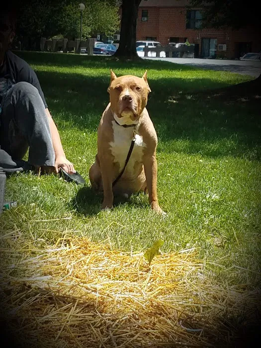 River Hills Veterinary Hospital Picture 2