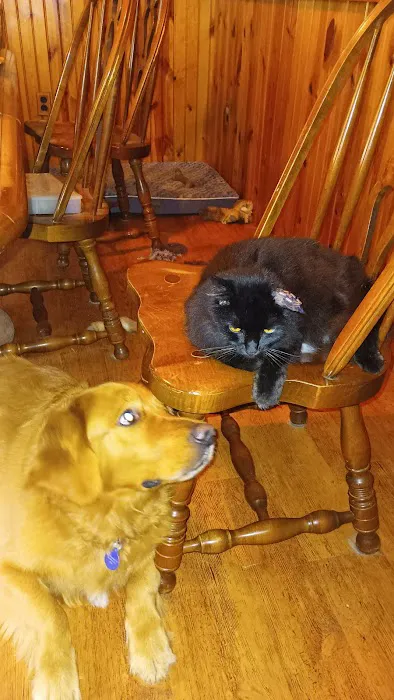 River Hills Veterinary Hospital Picture 7