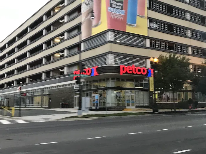 Petco Picture 2