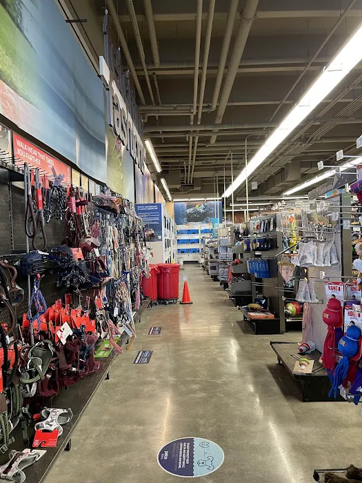 Petco Picture 4