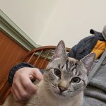 Basking Ridge Animal Hospital