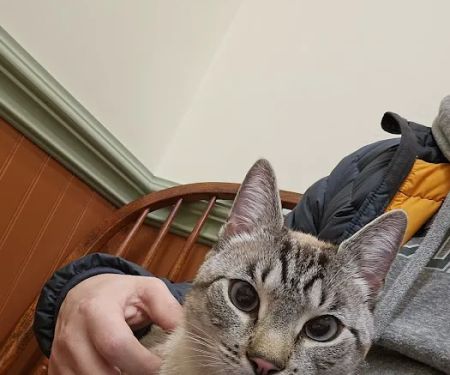 Basking Ridge Animal Hospital