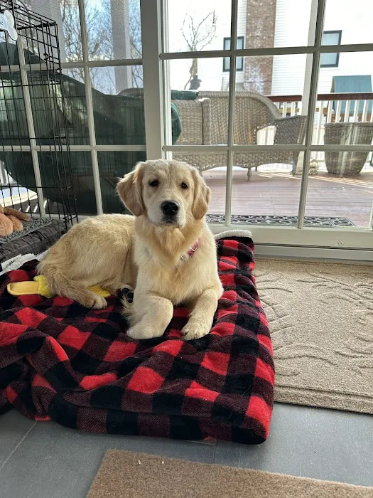 Basking Ridge Animal Hospital Picture 5