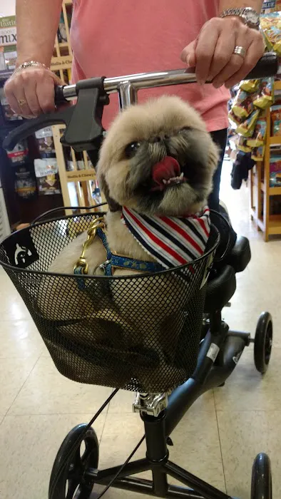 Great Dogs of Great Falls Picture 2