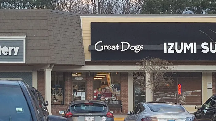 Great Dogs of Great Falls Picture 3