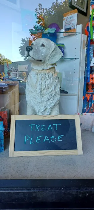 Great Dogs of Great Falls Picture 7