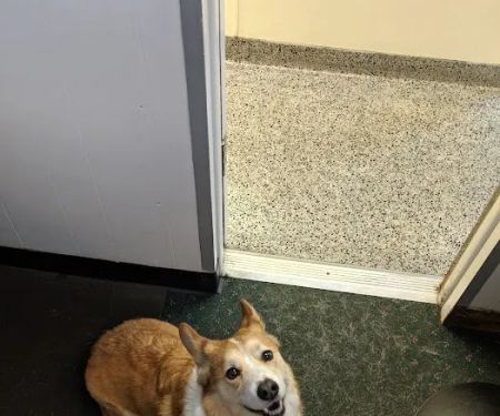 Bernardsville Animal Hospital