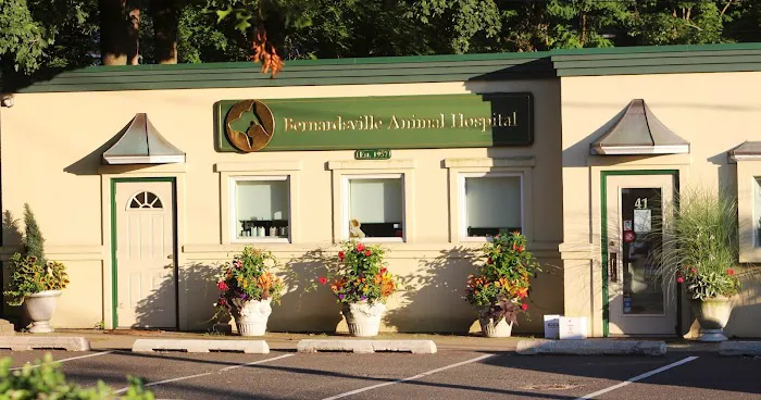 Bernardsville Animal Hospital Picture 5